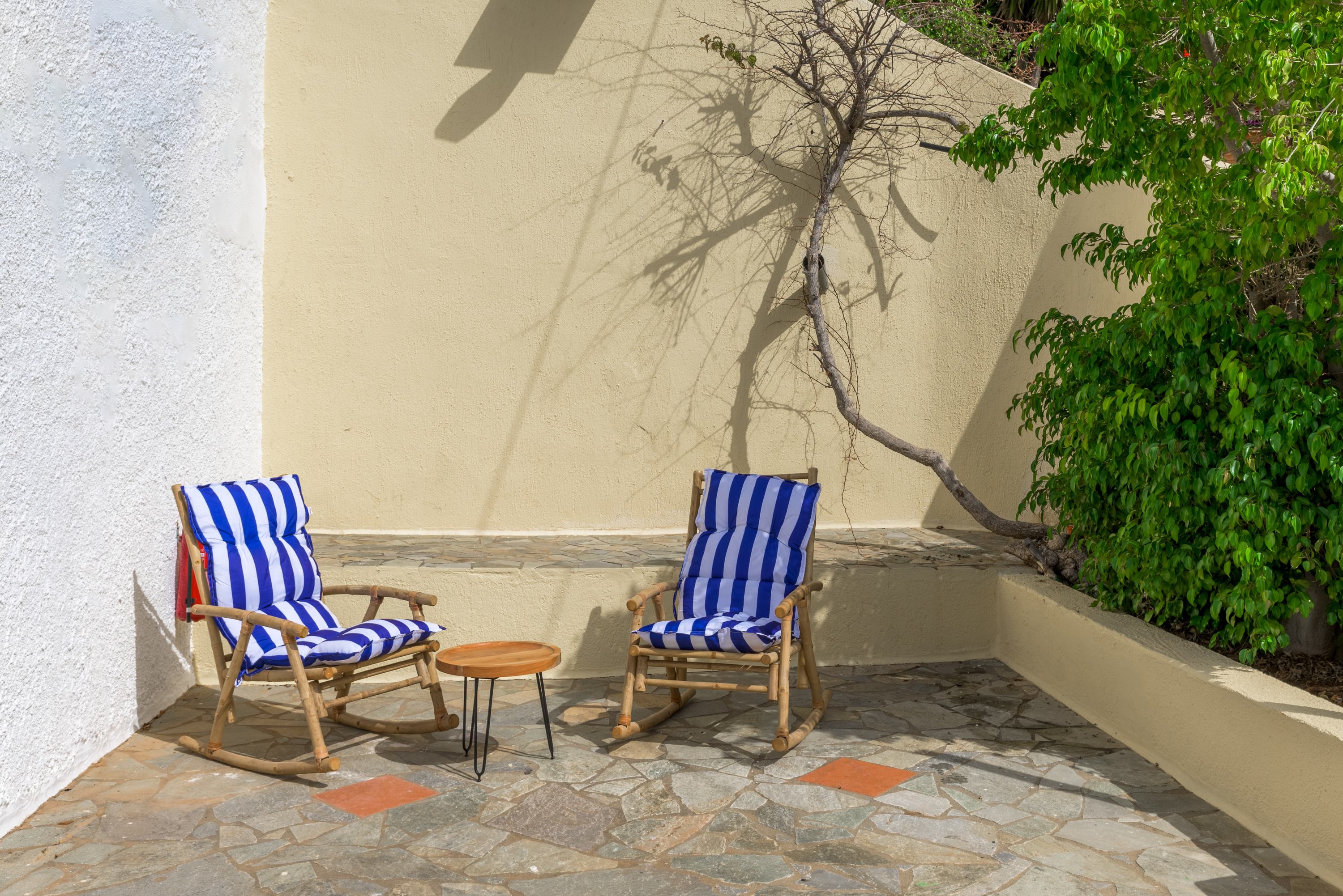 ΦΩΤΟΓΡΑΦΙΕΣ